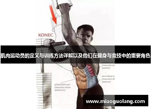 肌肉运动员的定义与训练方法详解以及他们在健身与竞技中的重要角色