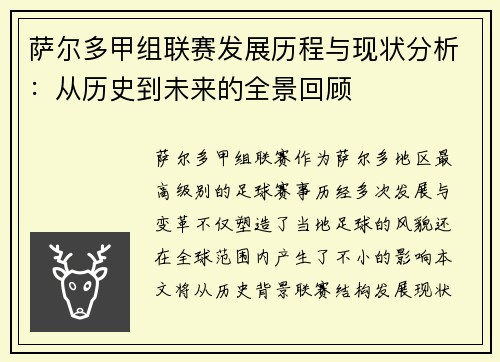 萨尔多甲组联赛发展历程与现状分析：从历史到未来的全景回顾