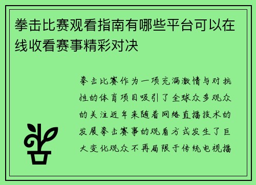拳击比赛观看指南有哪些平台可以在线收看赛事精彩对决